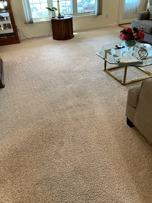 Chem-Dry Of Macon County Picture 4