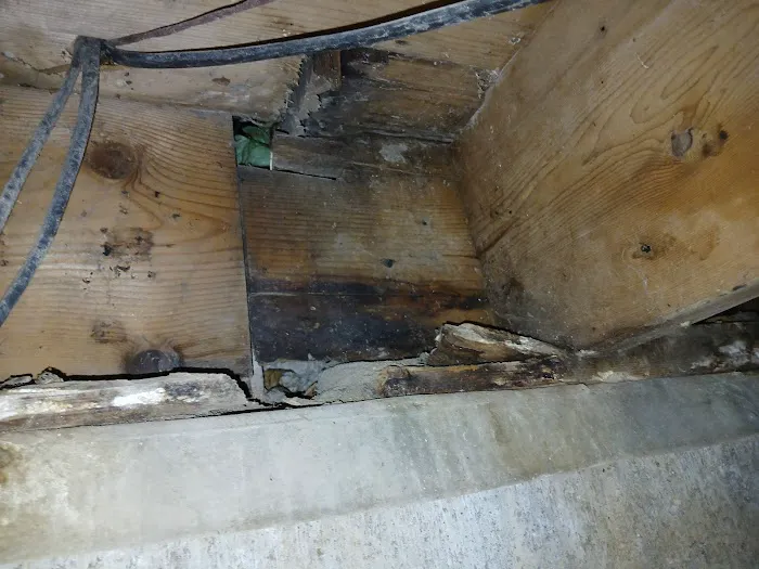 Black Mold Removal Professionals of Springfield, IL Picture 10