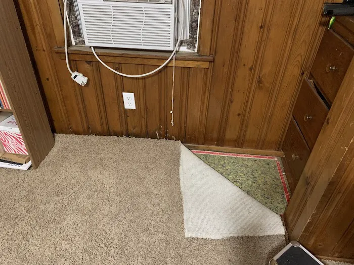 Black Mold Removal Professionals of Springfield, IL Picture 6