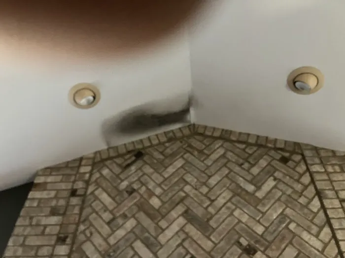 Black Mold Removal Professionals of Springfield, IL Picture 5