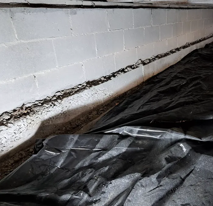 Black Mold Removal Professionals of Springfield, IL Picture 2