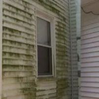Black Mold Removal Professionals of Springfield, IL ico