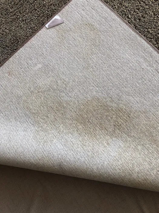 Stanley Steemer Picture 8