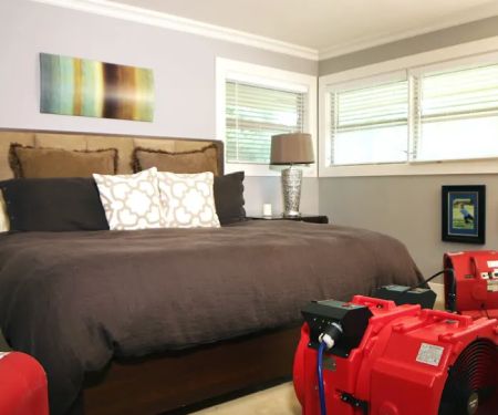 Peerless Cleaning & Restoration Services