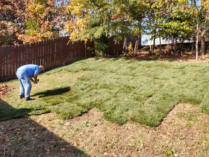 All Things Lawn Care and Home Maintenance Picture 9