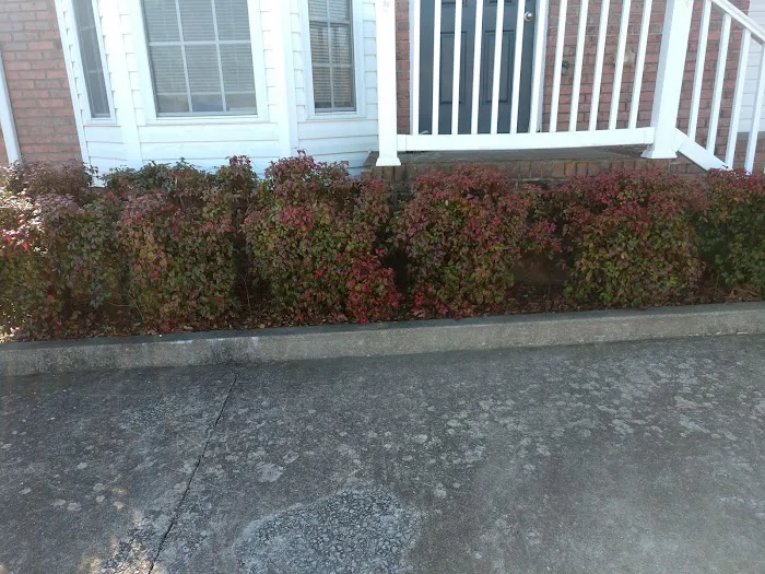 All Things Lawn Care and Home Maintenance Picture 5