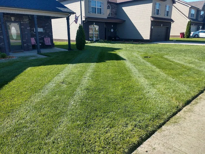 All Things Lawn Care and Home Maintenance Picture 8