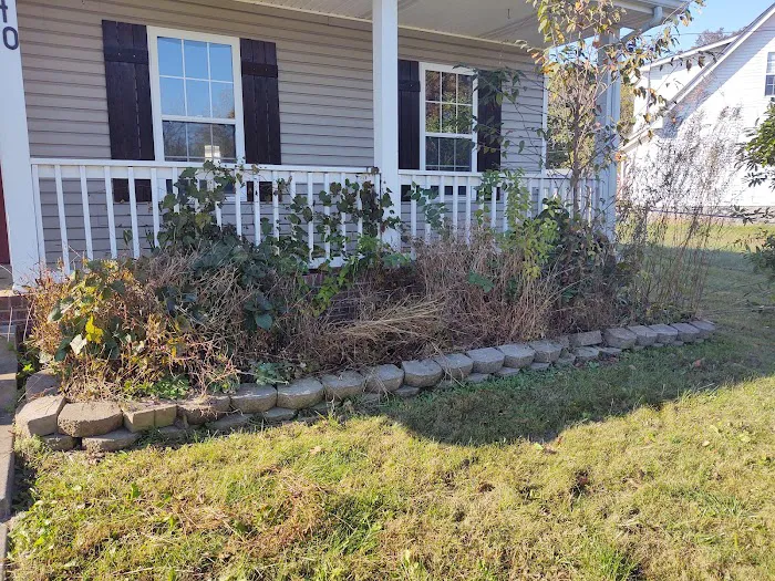 All Things Lawn Care and Home Maintenance Picture 10