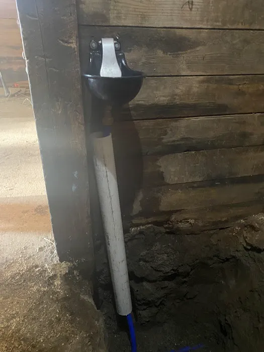 Excavating & Drainage Solutions Picture 4