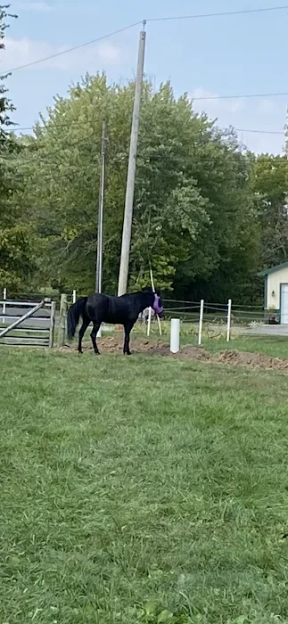 Excavating & Drainage Solutions Picture 1