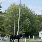 Excavating & Drainage Solutions