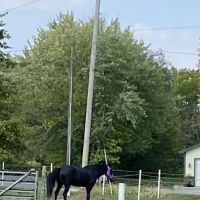 Excavating & Drainage Solutions ico