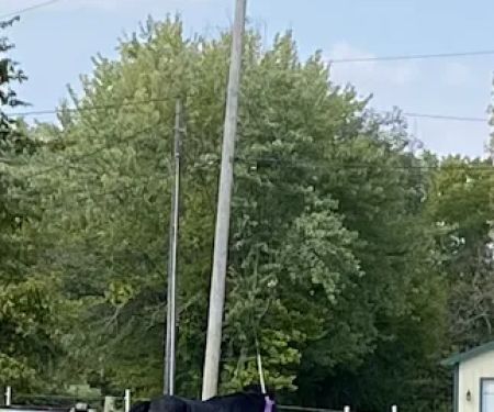 Excavating & Drainage Solutions