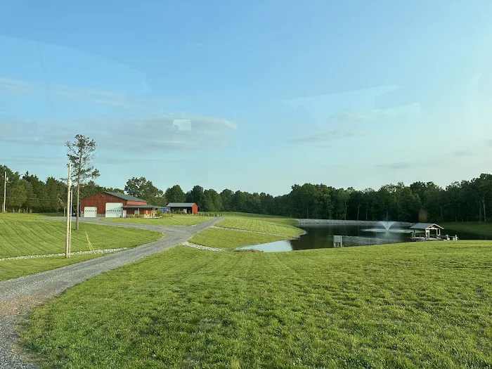 Maxwell Restoration Picture 9