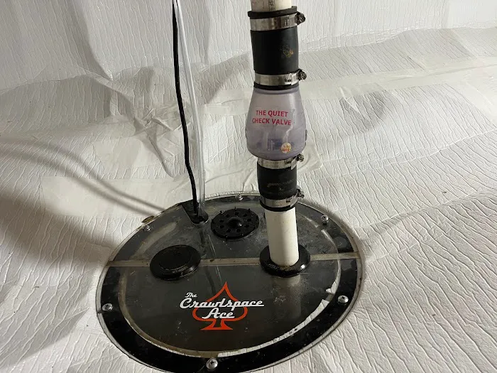 The Crawlspace Ace Picture 9