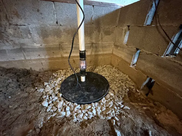 The Crawlspace Ace Picture 2