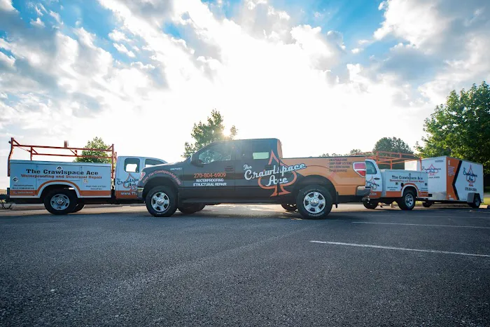 The Crawlspace Ace Picture 8