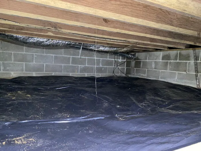 The Crawlspace Ace Picture 4