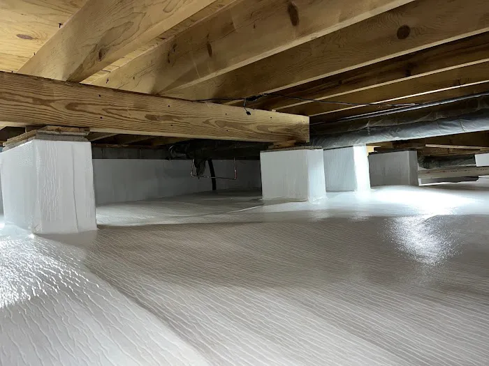 The Crawlspace Ace Picture 5