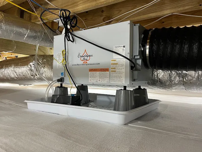 The Crawlspace Ace Picture 7