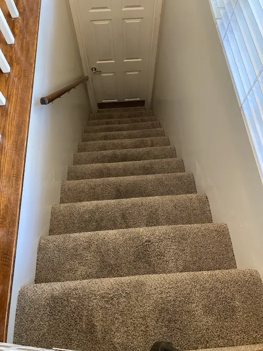 Stanley Steemer Picture 4