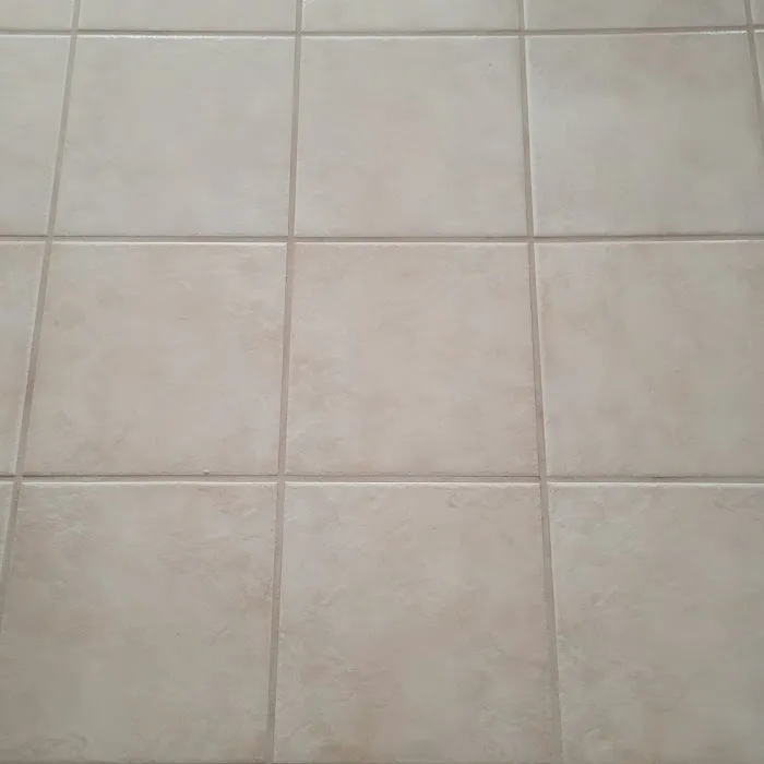 Stanley Steemer Picture 8