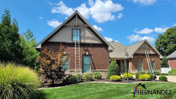 Hernandez Painting Picture 2