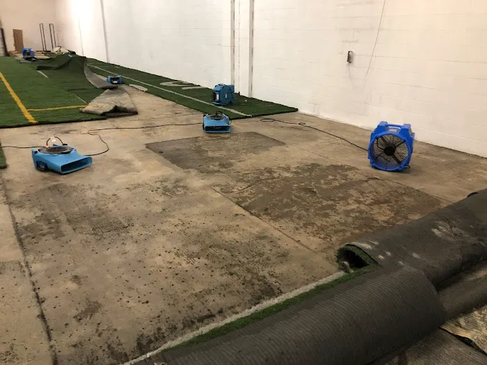 Dryhouse Restoration Picture 9