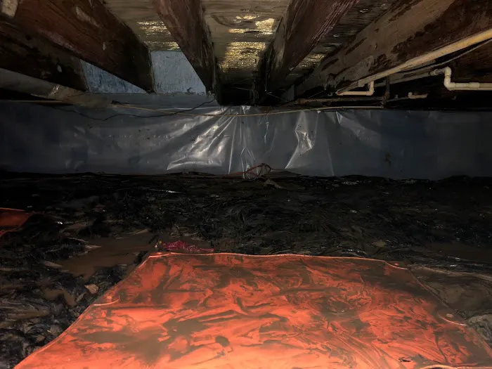 Dryhouse Restoration Picture 1