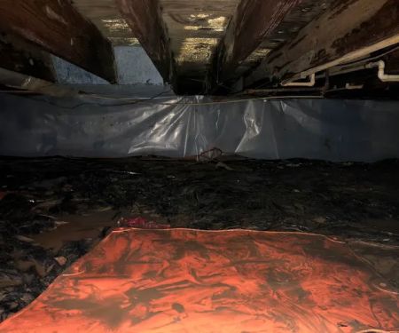 Dryhouse Restoration