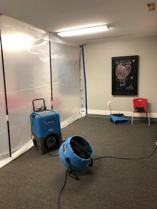 Dryhouse Restoration Picture 5