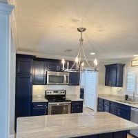 Property Revival ico