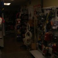 Majestic Restoration ico