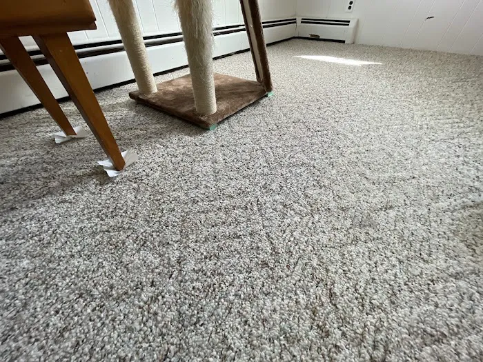 Stanley Steemer Picture 5