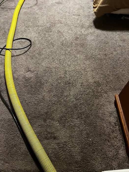 Stanley Steemer Picture 6