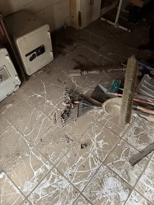 Stanley Steemer Picture 10