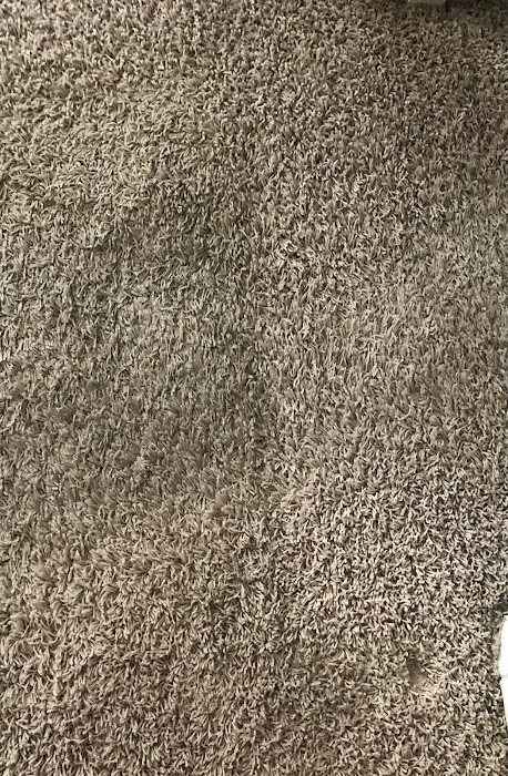 Stanley Steemer Picture 9