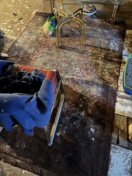 Stanley Steemer Picture 4