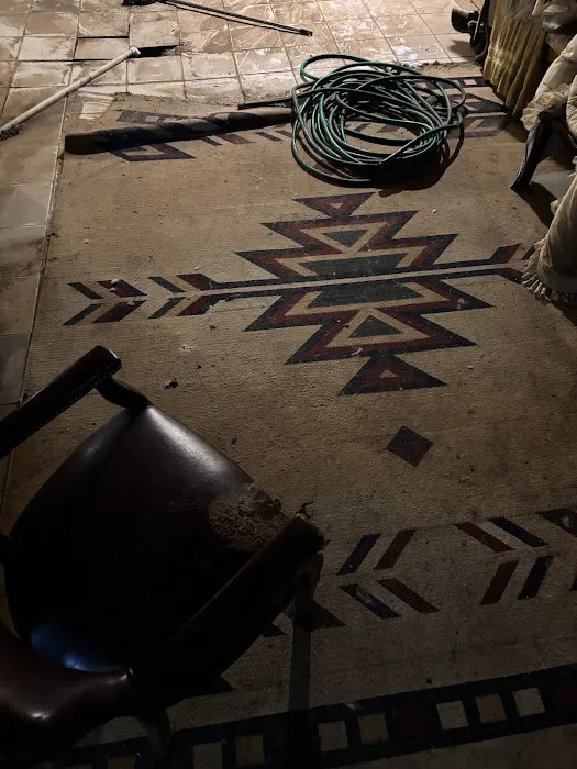 Stanley Steemer Picture 5