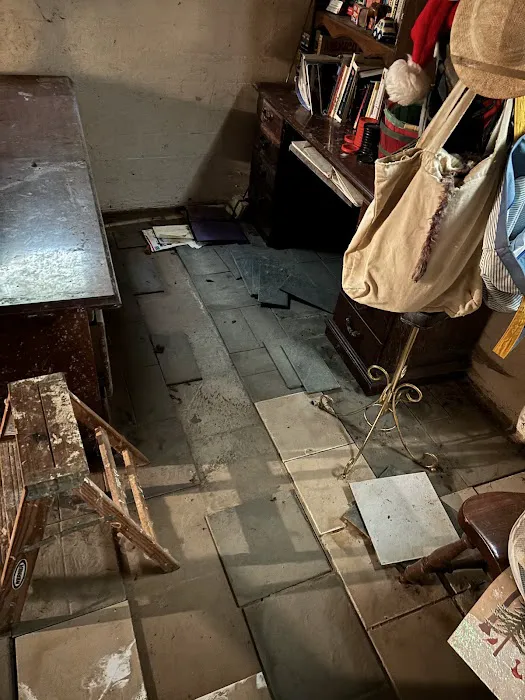 Stanley Steemer Picture 6