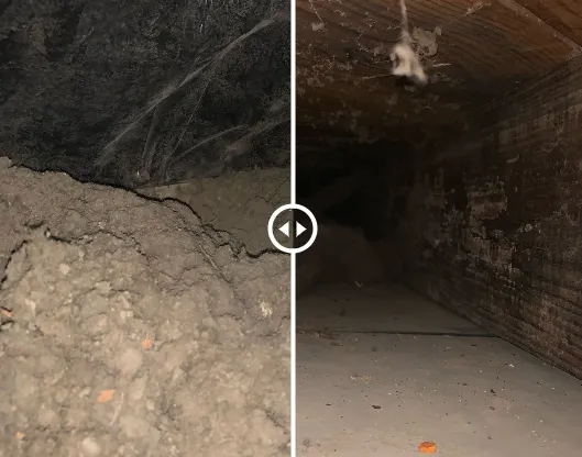 SEMO Solutions Picture 5