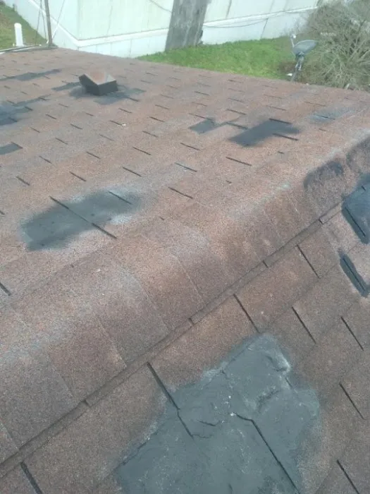 Trico Roofing Picture 1