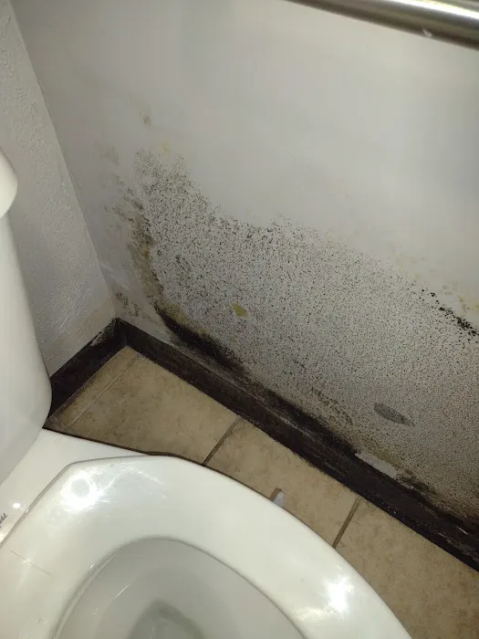 Indoor Air Quality Services Picture 5