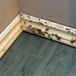 Indoor Air Quality Services