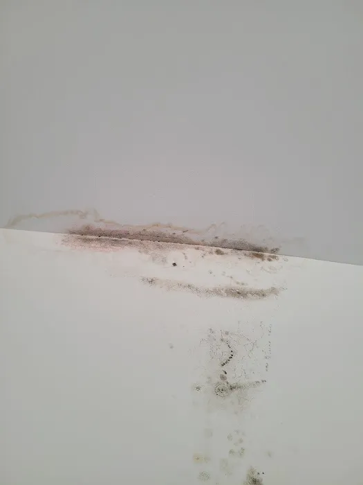 Indoor Air Quality Services Picture 10