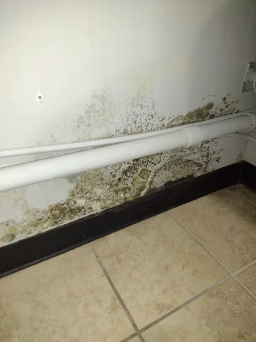 Indoor Air Quality Services Picture 3