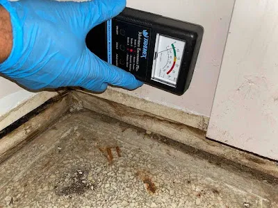 Elite Water Damage & Mold Removal Atlanta GA Picture 1