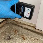 Elite Water Damage & Mold Removal Atlanta GA