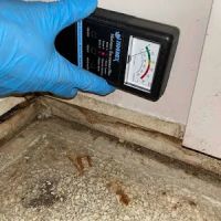 Elite Water Damage & Mold Removal Atlanta GA ico