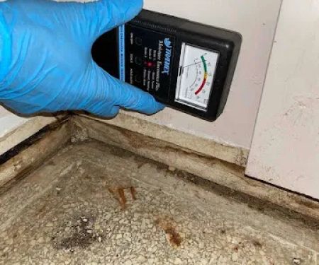 Elite Water Damage & Mold Removal Atlanta GA